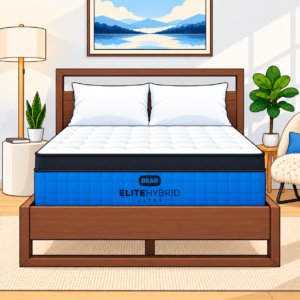 Bear Elite Ultra Hybrid